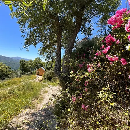 Villa Monkey Tiny Barnhouse With Amazing Views! Folhadosa Exterior foto