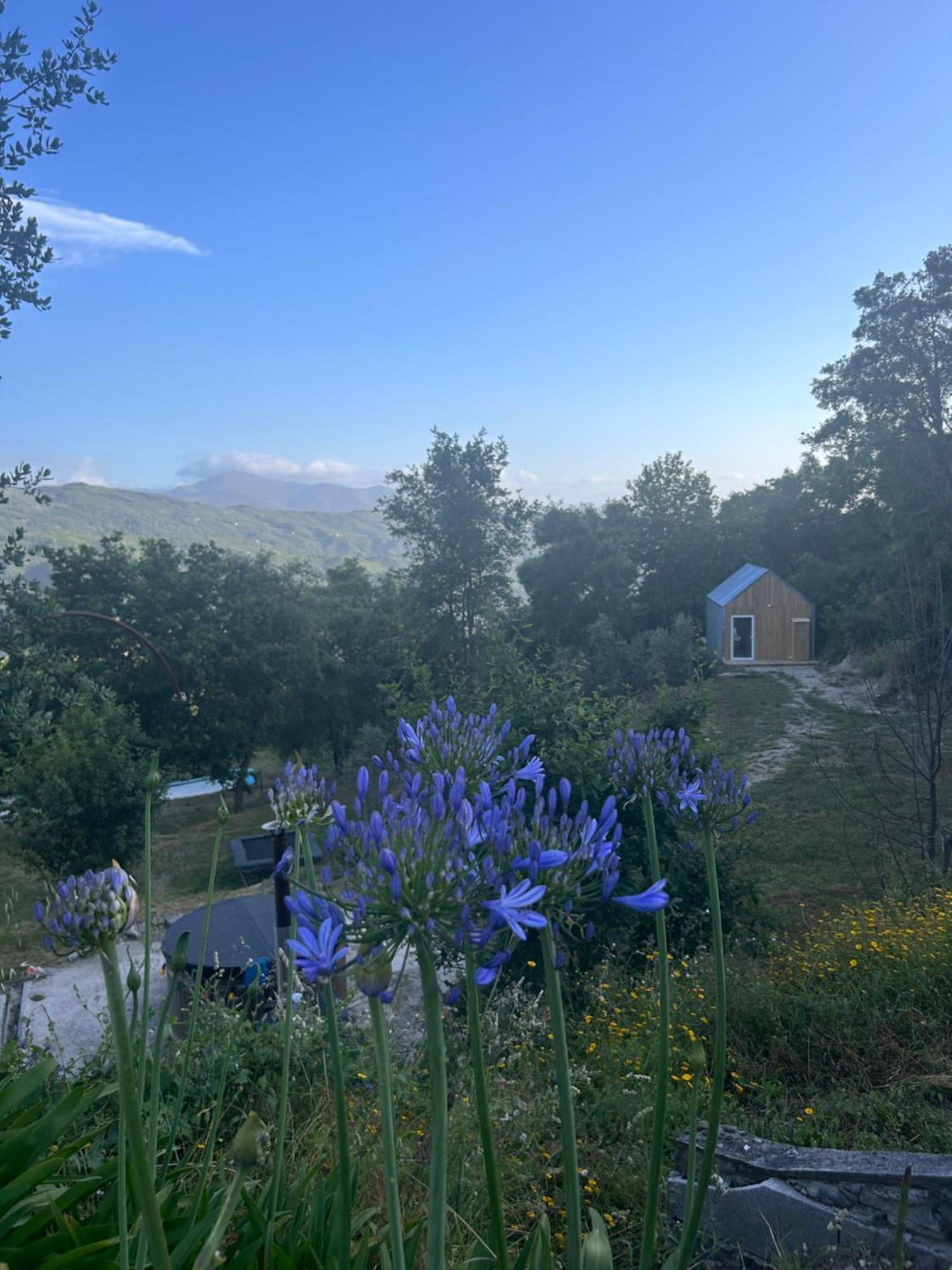 Monkey Tiny Barnhouse With Amazing Views!
