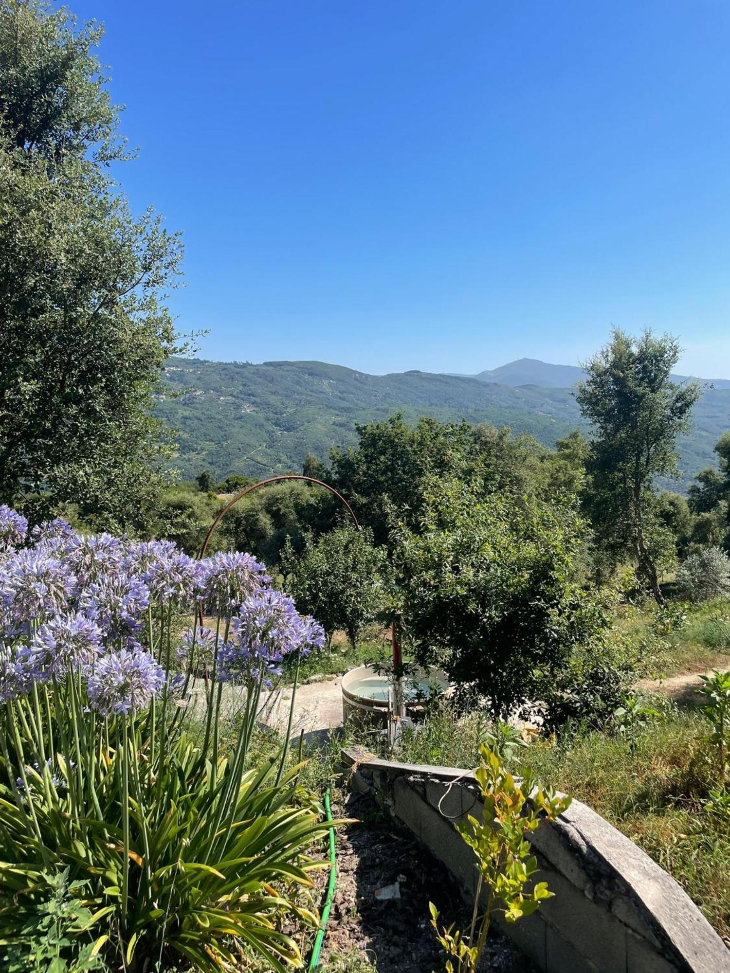 Monkey Tiny Barnhouse With Amazing Views! Ferienhaus