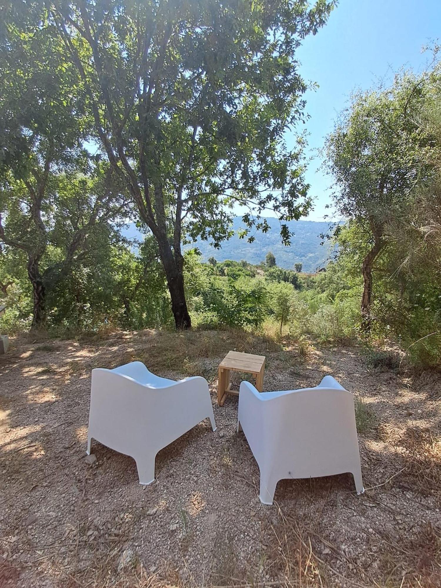 Monkey Tiny Barnhouse With Amazing Views! Folhadosa