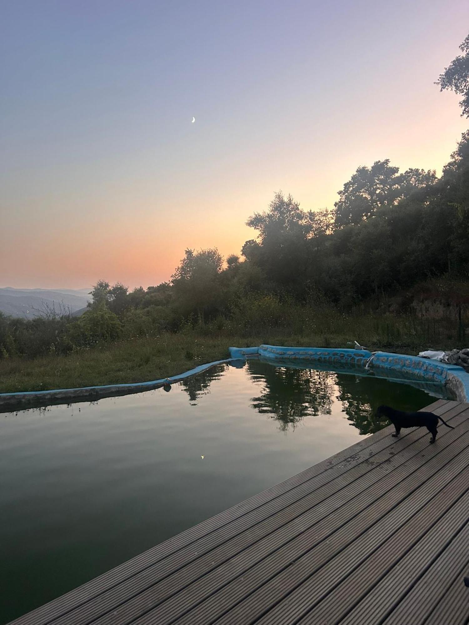 Monkey Tiny Barnhouse With Amazing Views! Ferienhaus