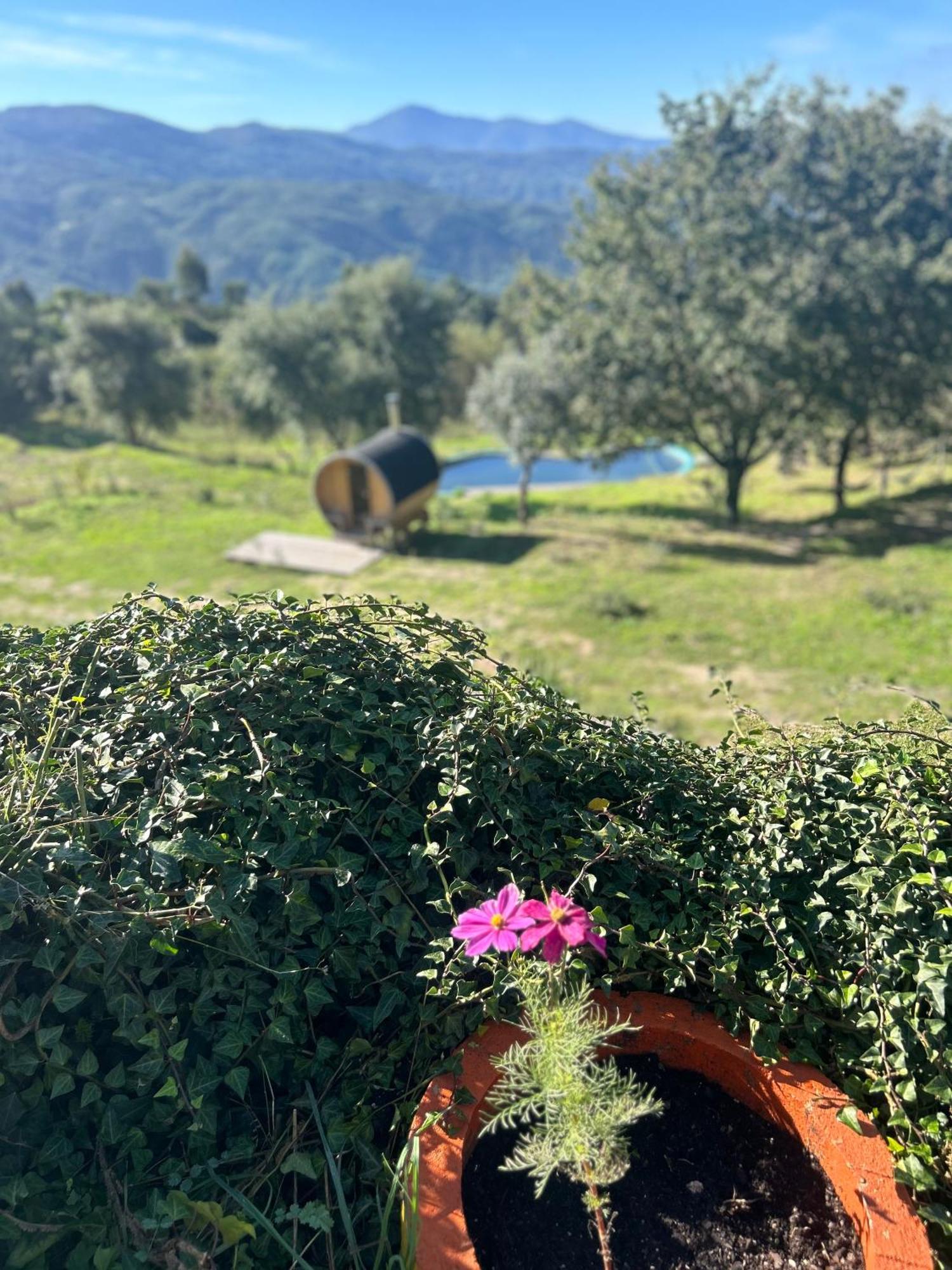 Monkey Tiny Barnhouse With Amazing Views! *