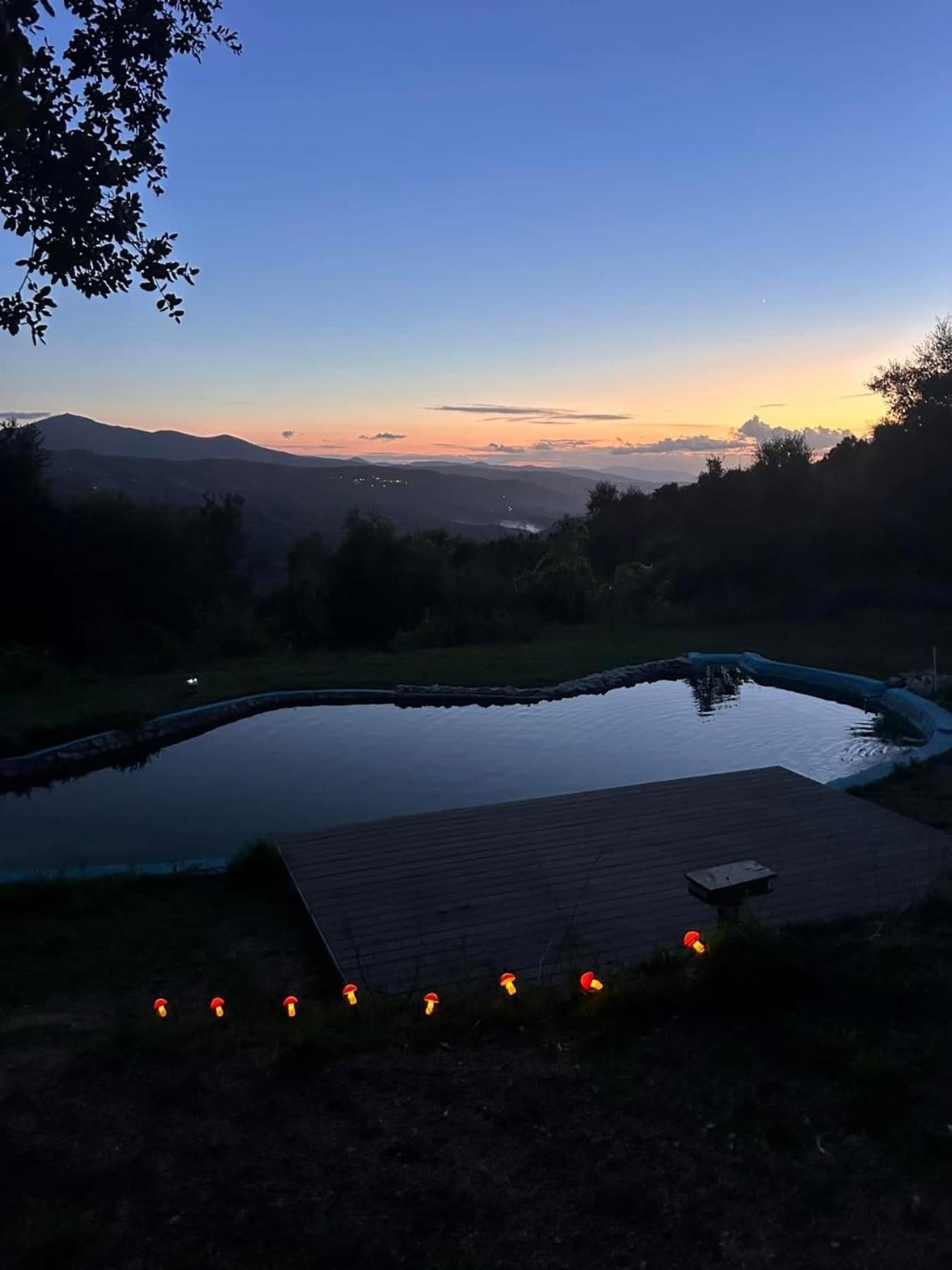 Monkey Tiny Barnhouse With Amazing Views! Folhadosa